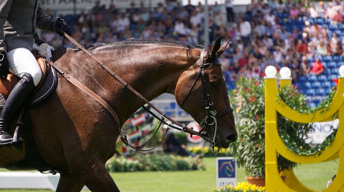Standing in the Yard: A Vet's Fitness-to-Compete Dilemma