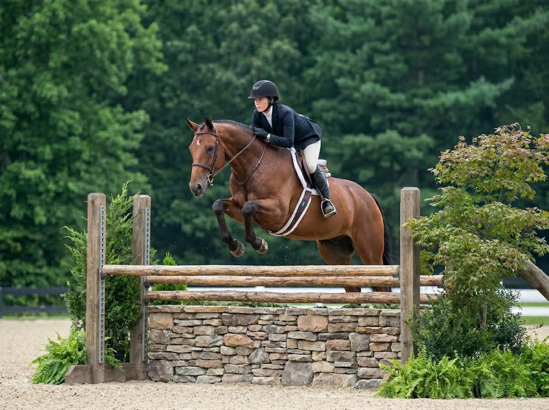 The Thoroughbred in the Jump Ring: What the Research Says About the Breed Redefining Modern Sport