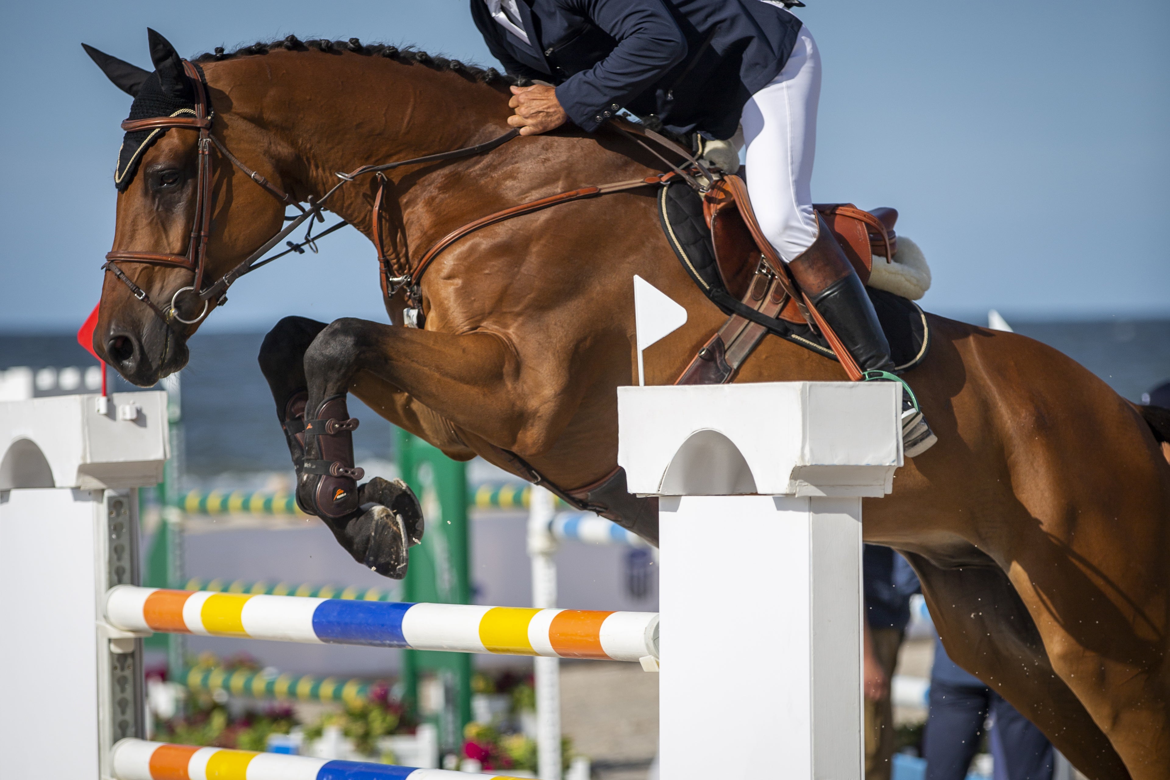Grand Prix show jumping horse and rider competing at night under lights at Wellington Florida equestrian festival