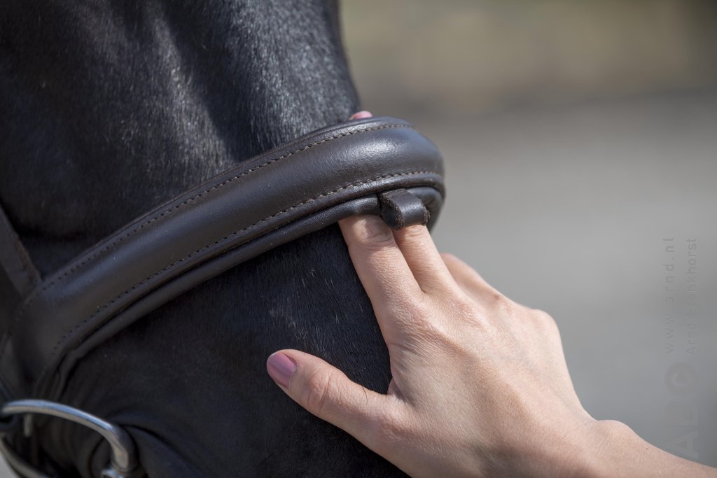 The Two-Finger Rule Is Over: Noseband Tightness & FEI Gauge