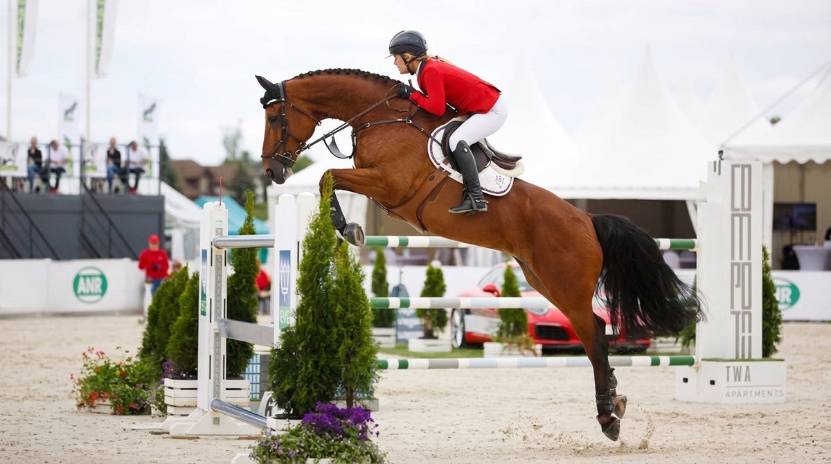 The Sentinel Fluid: Rethinking Equine Joint Diagnosis