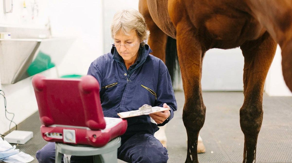 The Fifty Percent Problem: Inside the Equine Vet Shortage
