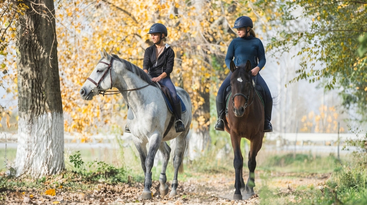 The Backbone Tax: What Research Says About Grooms in Sport