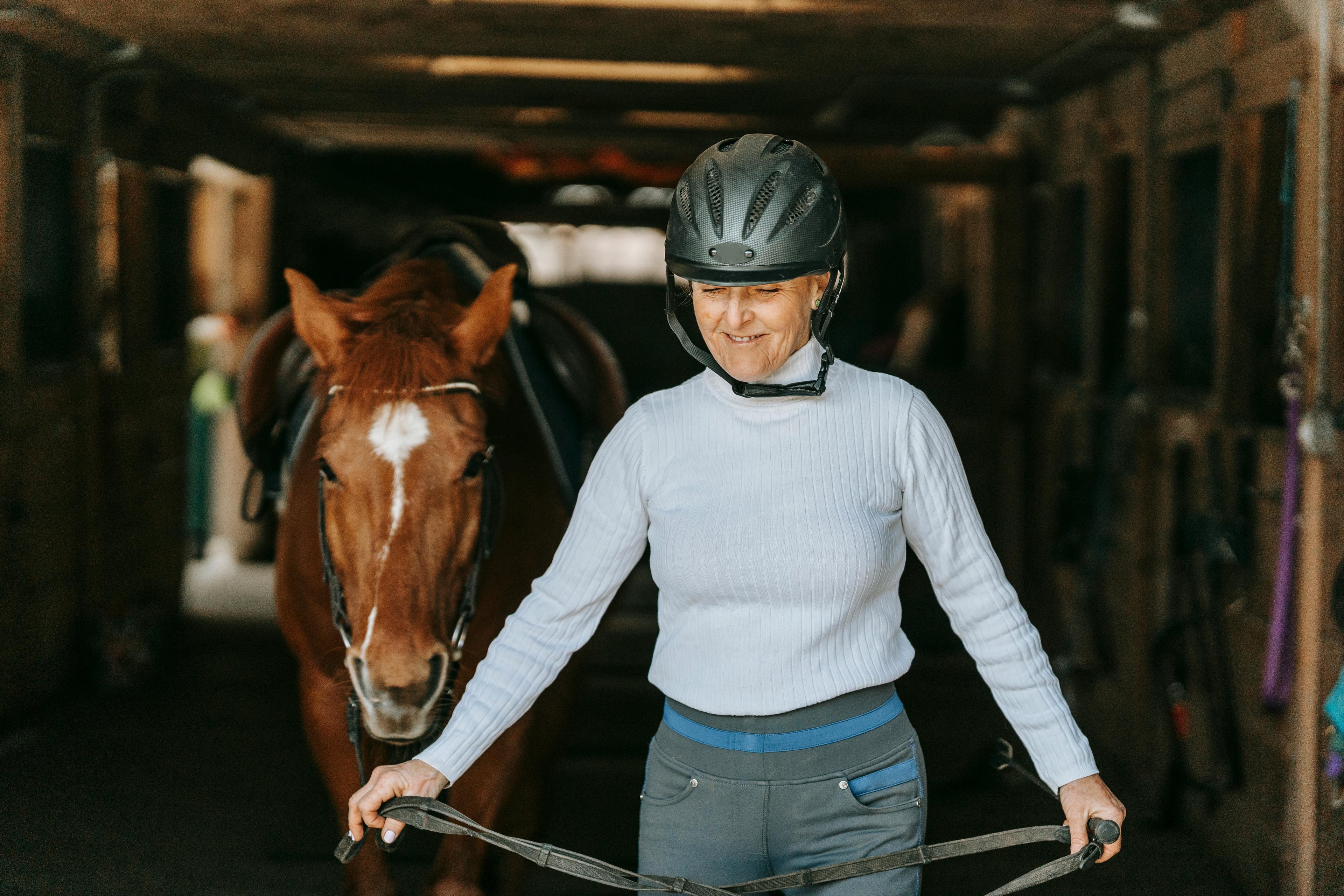 adult amateur rider returning to equestrian sport hunter jumper