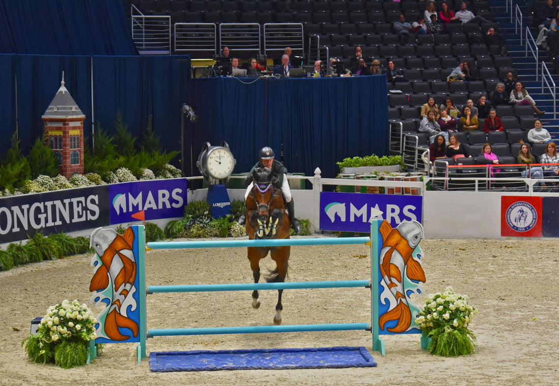 FEI world cup bay horse jumping over vertical liverpool indoor arena