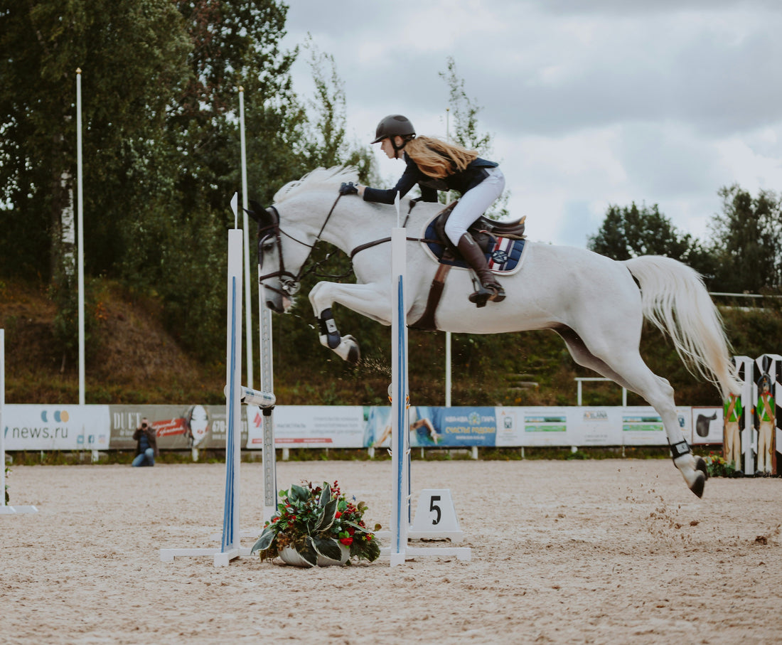 Rider at USEF-recognized hunter jumper horse show, white warmblood approaching vertical oxer fence, traditional hunter turnout