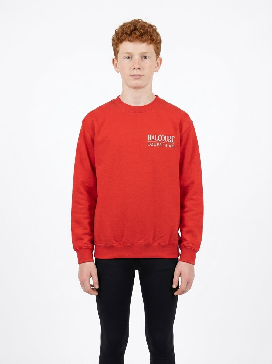 Custom Stable Logo Youth Sweatshirt - Embroidered Crewneck for Young Riders