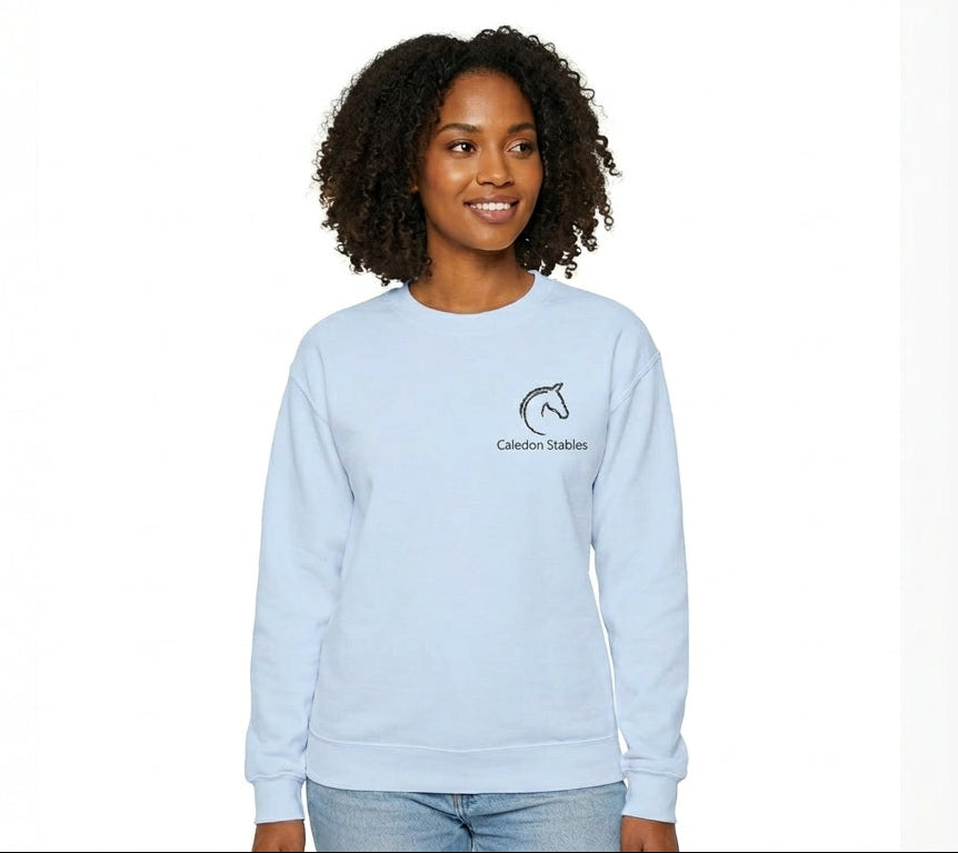 Woman wearing a light blue sweatshirt with a logo on a white background