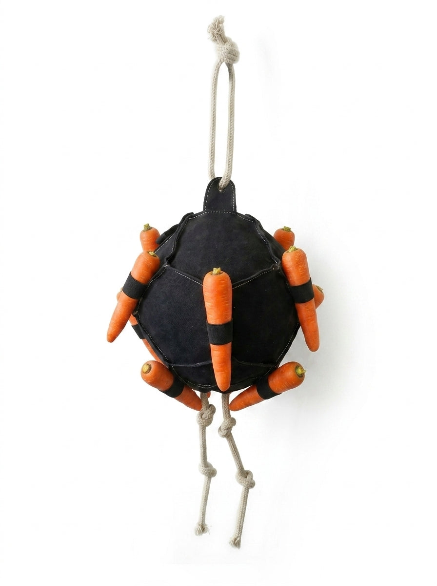 The Stall Ball - Hanging Horse Treat & Enrichment Toy