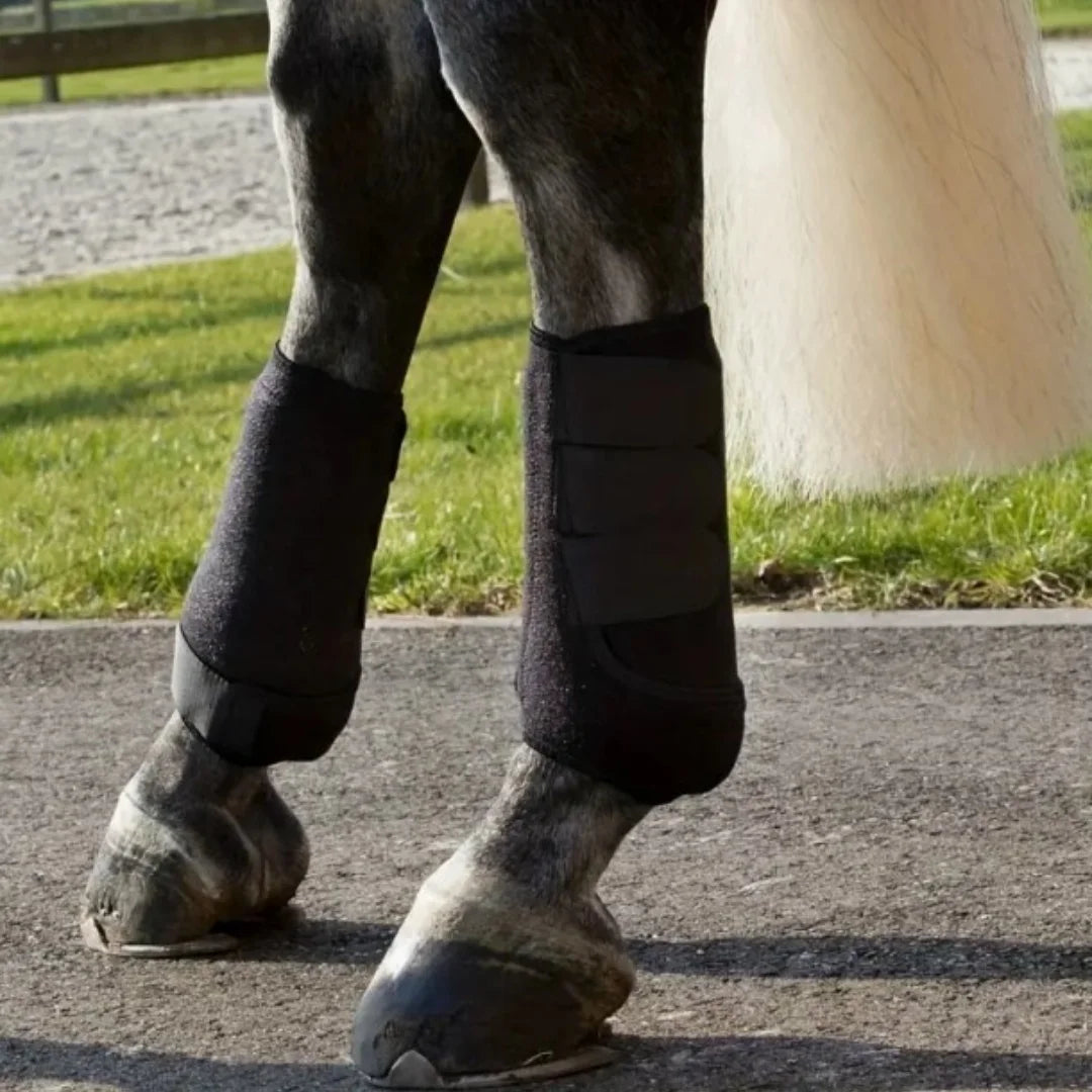 Extended Support Tendon Wraps — Horse Leg Protection for Front & Hind