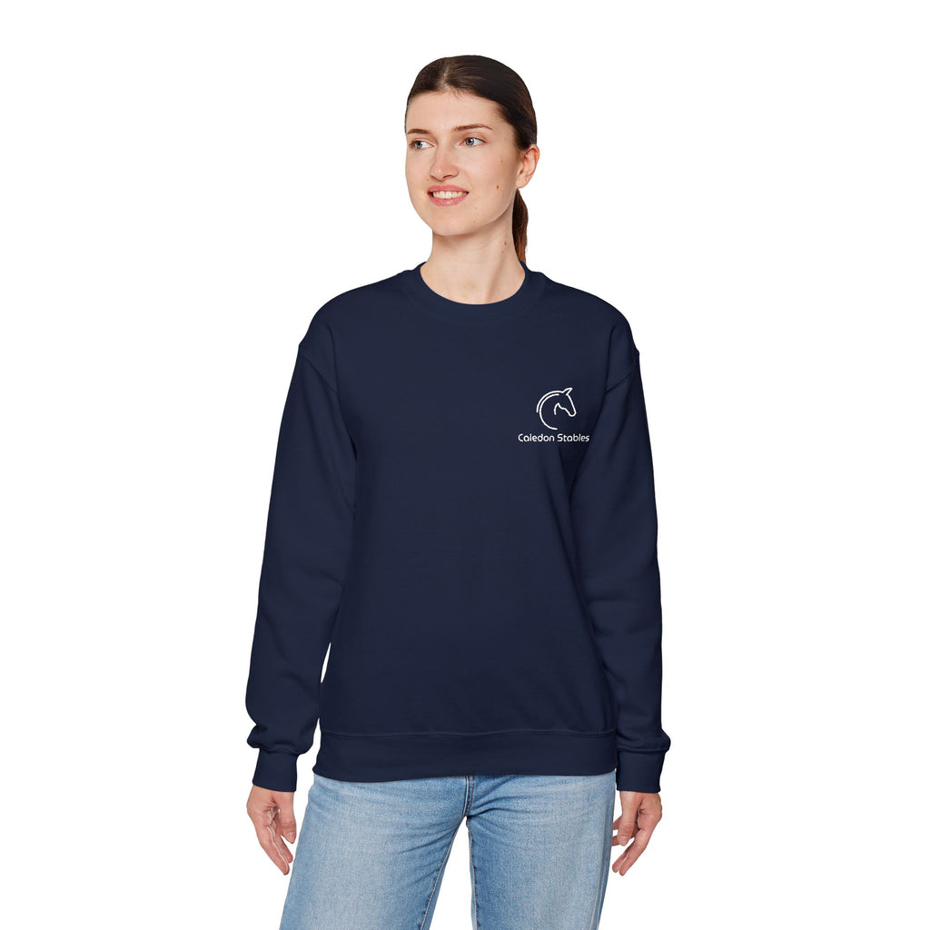 personalized equestrian sweatshirt barn team rider gift