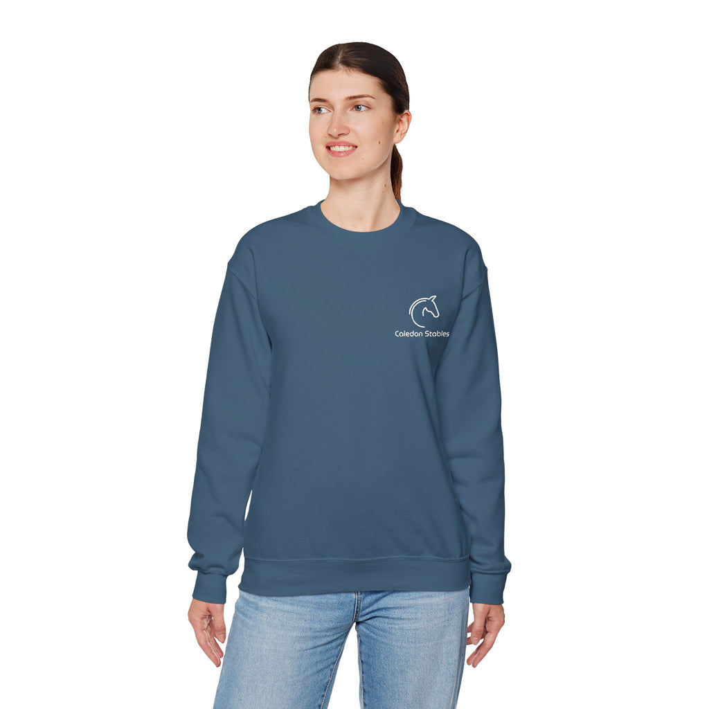 personalized equestrian sweatshirt barn team rider gift